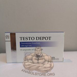 Testo Depot